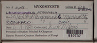 Image Associated With the Occurence